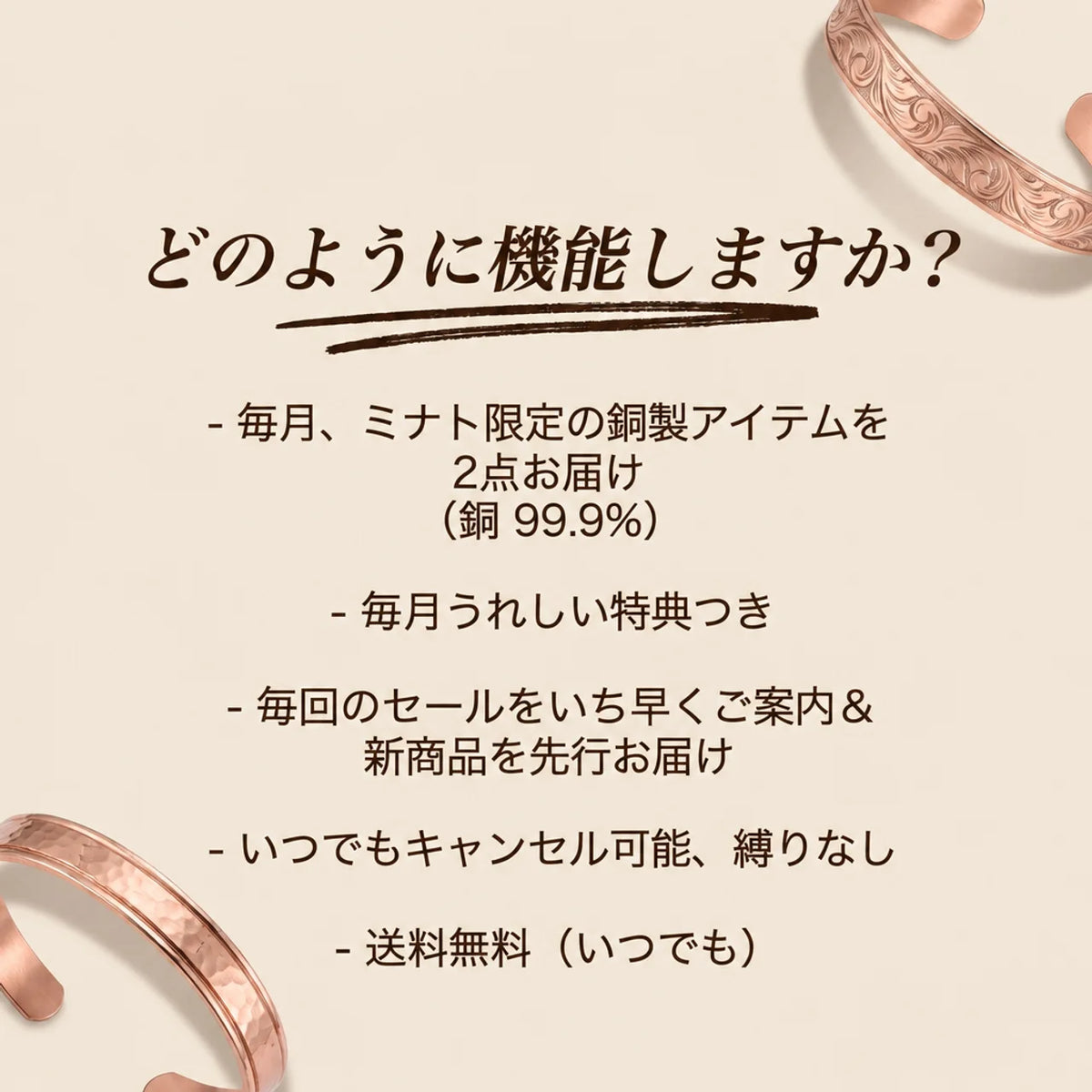 ミステリージュエリー定期便